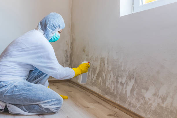 Commercial Mold Remediation assessment for commercial property in Quincy