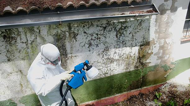 Mold Remediation service in Quincy, Quincy, MA